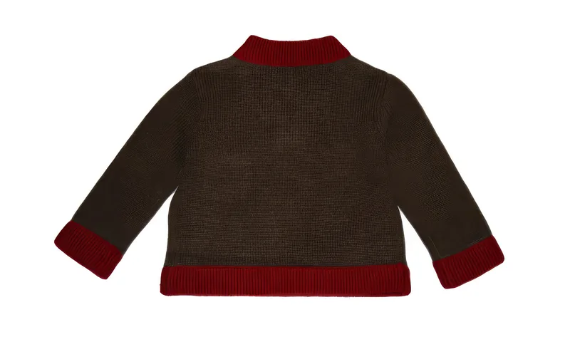 iris sweater — Chestnut, back