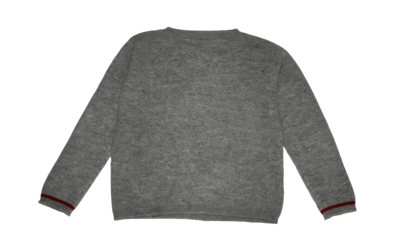 tulipe sweater — Grey, back